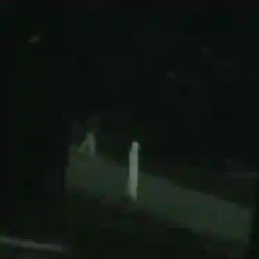 the fresno nightcrawler