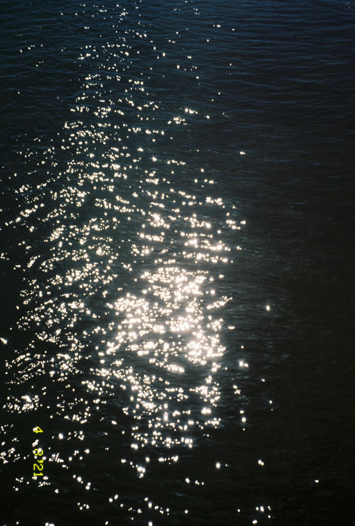 the shimmering surface of a body of water