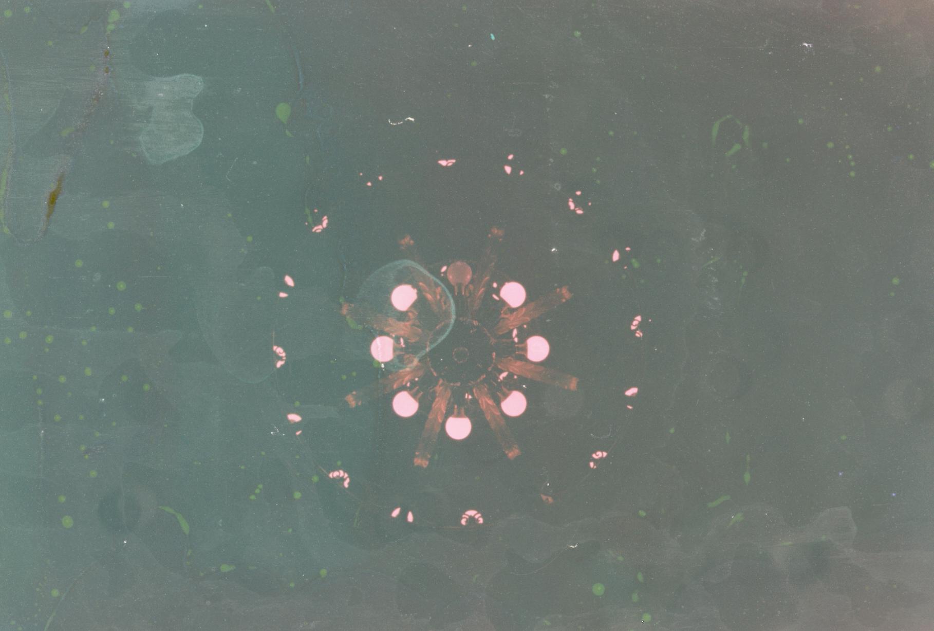 a chandelier from below