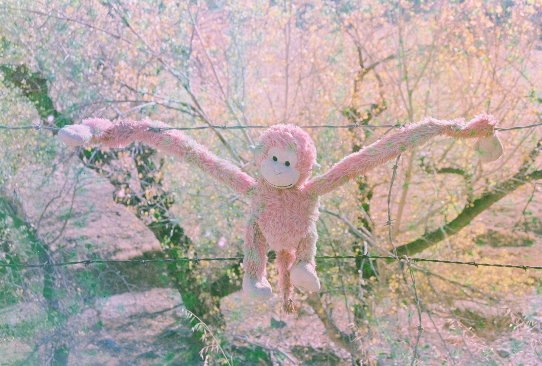 a pink plush monkey with its arms spread out and attached to a barbed wire fence