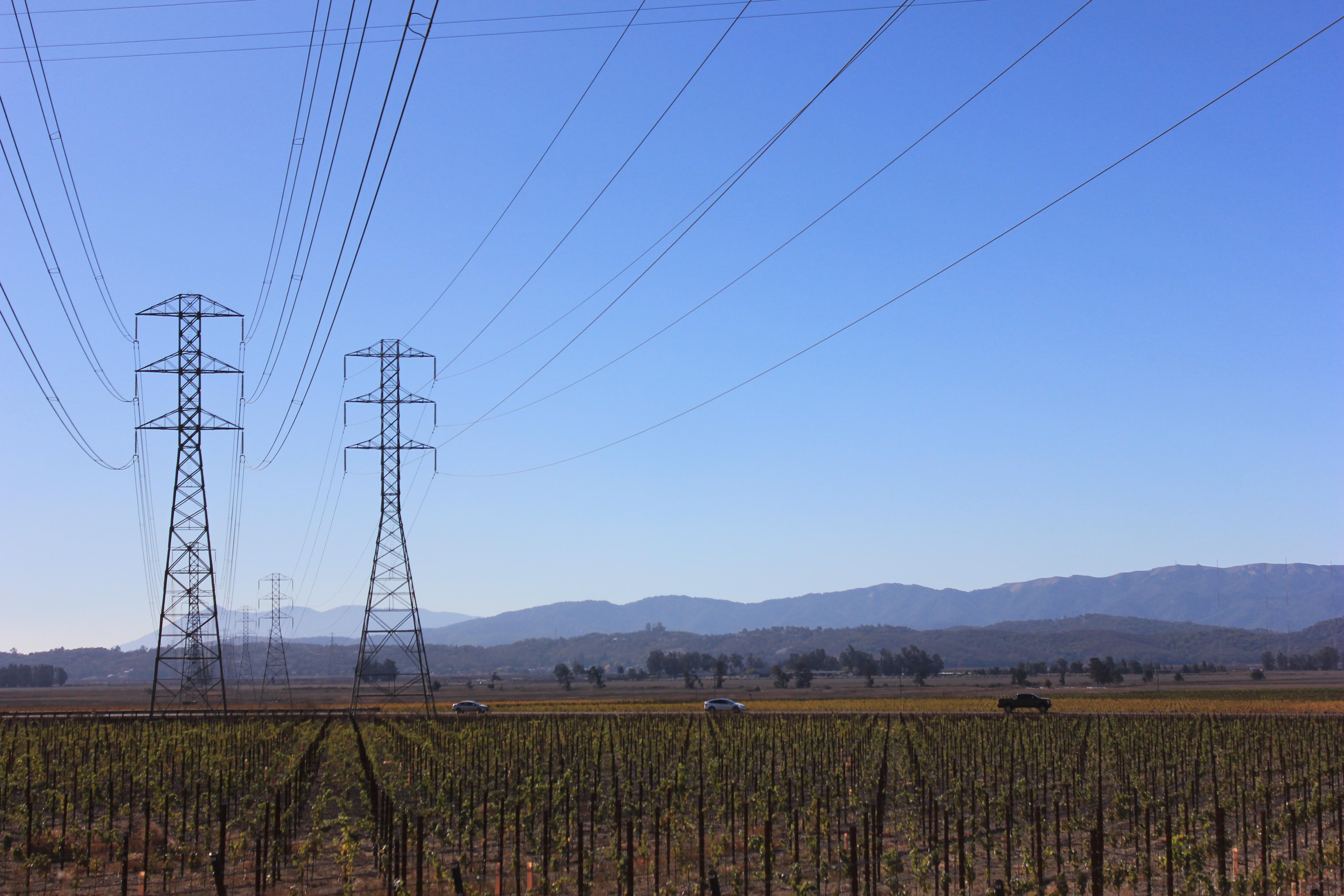 two transmission towers to the left, behind an empty vineyard