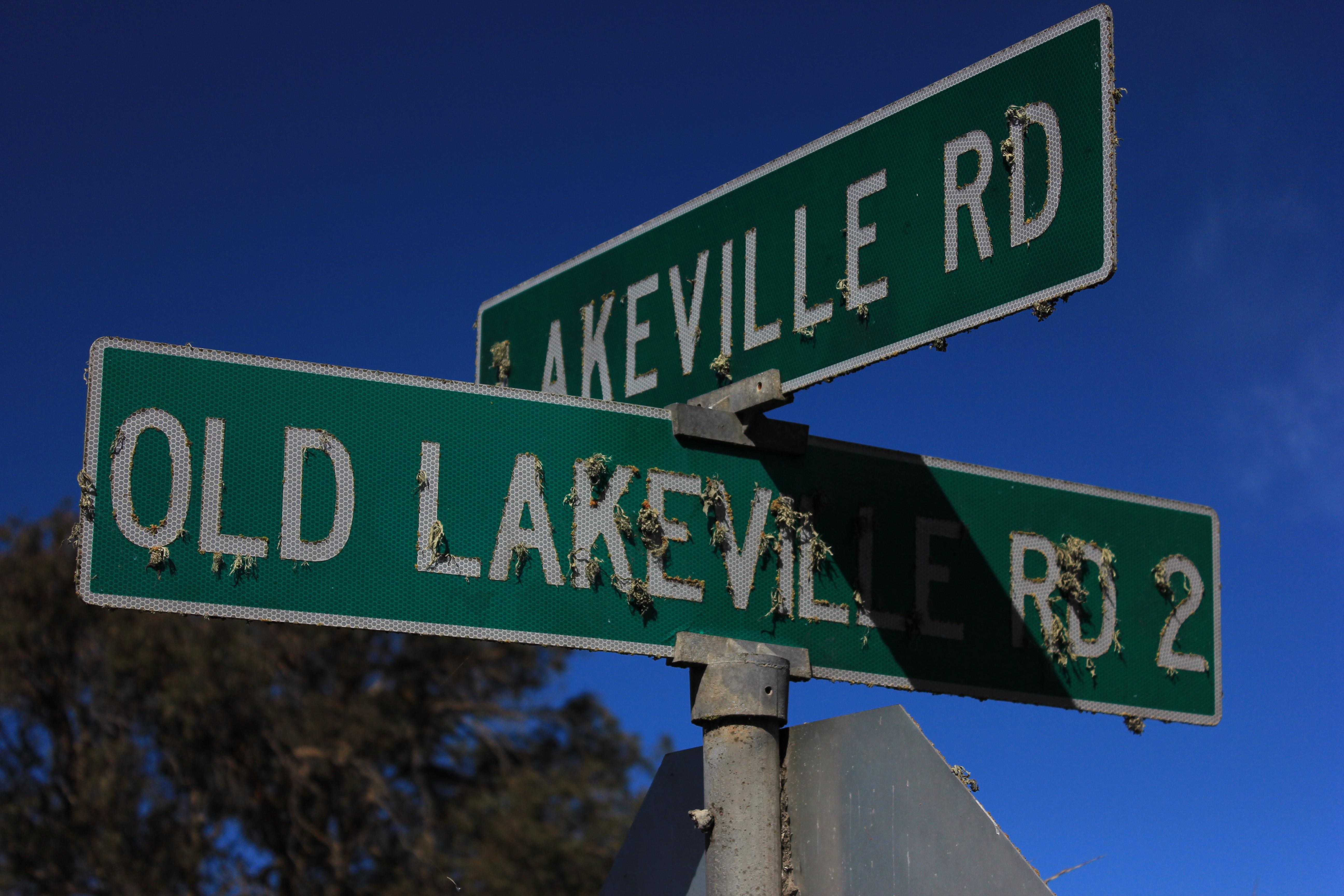 two street signs on top of each other, reading 'lakeville road' and 'old lakeville road 2'