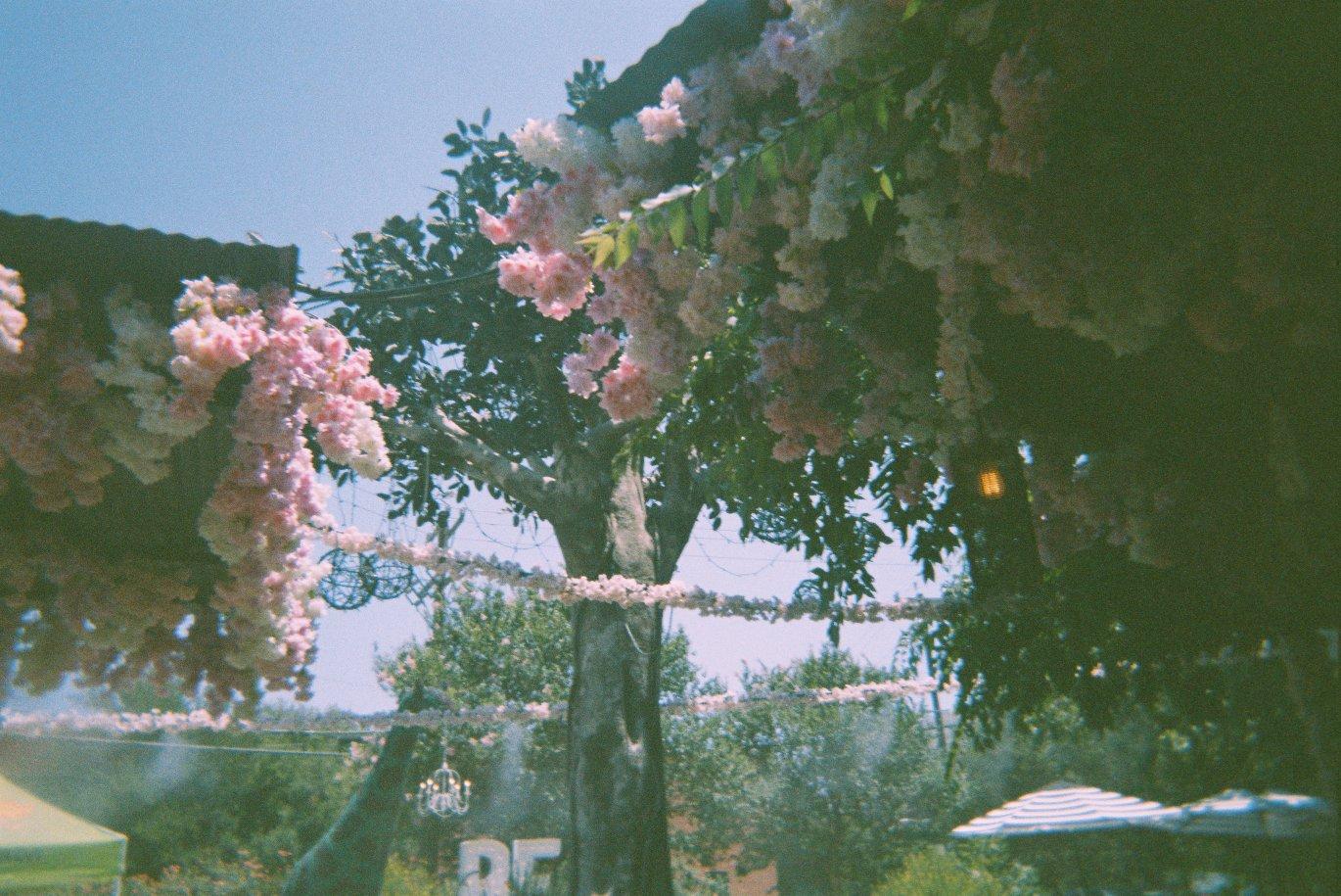 fake flowers hanging from two rooves with a tree in between