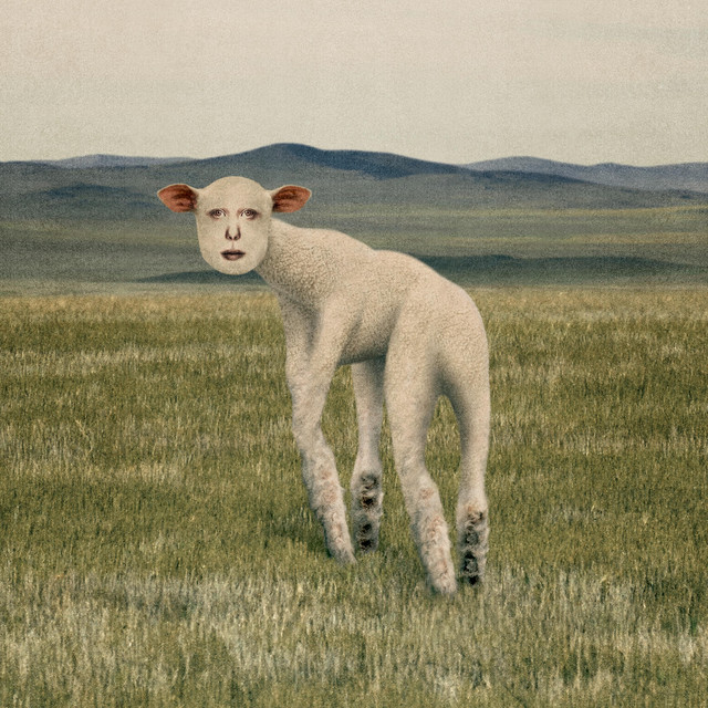 THORNAPPLE's 'Extinction'